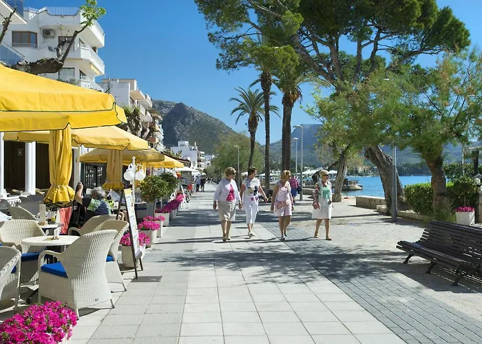 Owl El Crever - Family And Friends Pollença