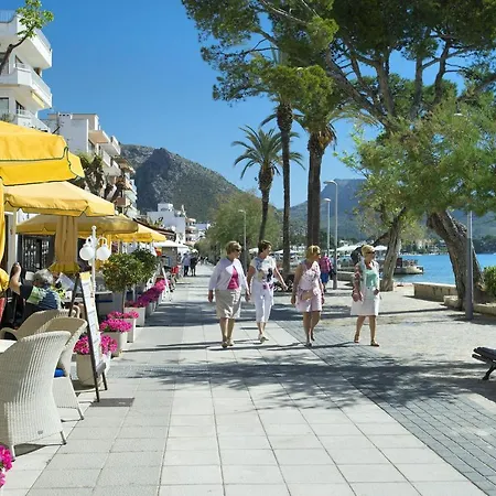 Owl El Crever - Family And Friends Pollença