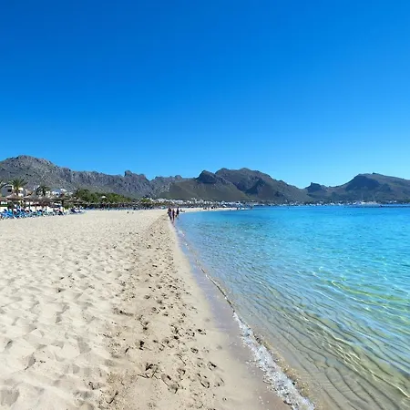 Owl El Crever - Family And Friends