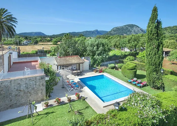 Owl El Crever - Family And Friends Willa