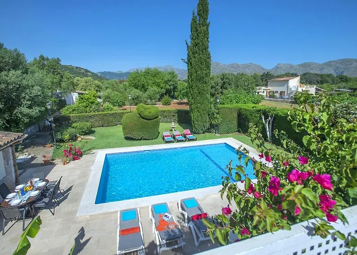 Owl El Crever - Family And Friends Pollensa