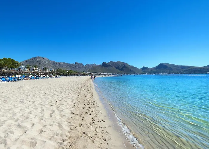 Owl El Crever - Family And Friends