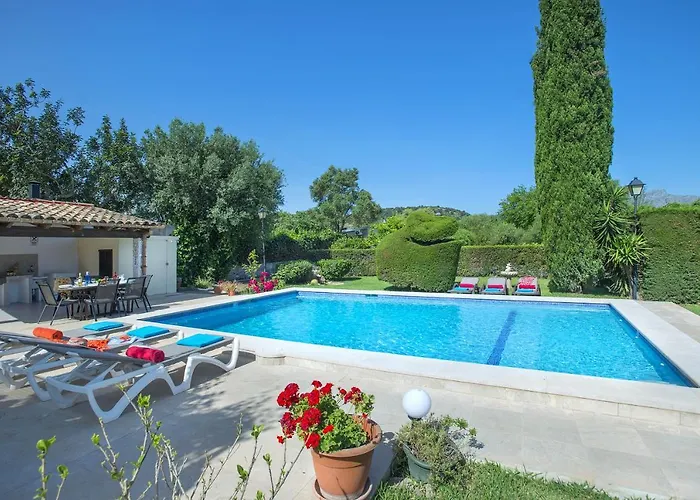 Owl El Crever - Family And Friends * Pollensa