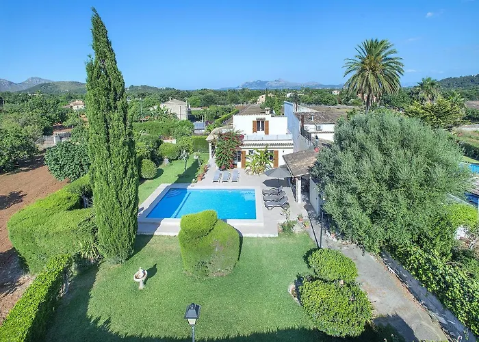 Owl El Crever - Family And Friends Willa *