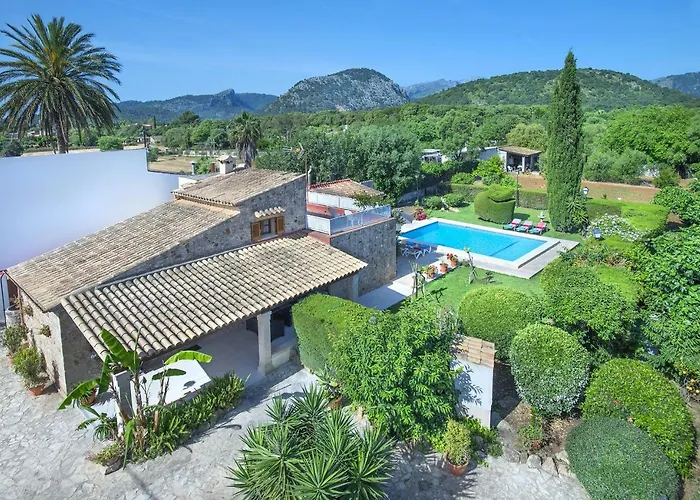 Owl El Crever - Family And Friends Willa *